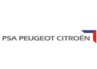 Peugeot  Citroen  2010      