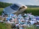 В Московской области штрафуют мусорящих водителей