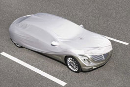 Mercedes покажет концепт F700

