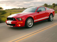 Ford Shelby GT500       
