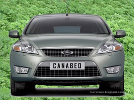 Ford будет делать автомобили из конопли Ford будет делать автомобили из конопли