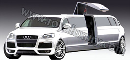 Audi Q7 ���������� � ������� (����)

