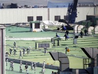 Рабочие завода SsangYong сдались полиции
Рабочие завода SsangYong сдались полиции