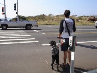 ���������� ����������� ������ ������