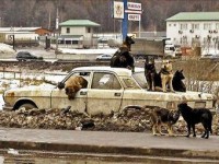 Таможенный союз согласился ввести утилизационный сбор на автомобили Таможенный союз согласился ввести утилизационный сбор на автомобили