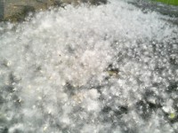 ������ ������� ��������� ��� � ������ ��������� � �������