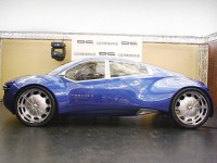 В Индии построили среднемоторный супервседорожник DC Tornado (фото) В Индии построили среднемоторный супервседорожник DC Tornado (фото)