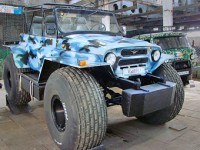 ����������� ���������� ������� ����������� �����������-������� (����)