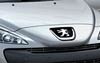 Peugeot  307