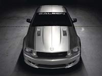 Saleen   25-    Ford Mustang
