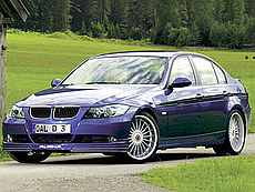 Alpina   