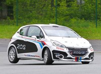  Peugeot   208  -